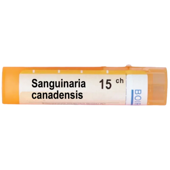 BOIRON Sanguinaria canadensis 15 ch