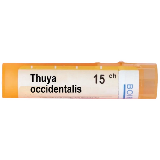 BOIRON Thuya occidentalis 15 ch