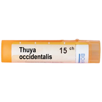compare product Thuya occidentalis 15 ch