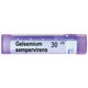 BOIRON Gelsemium sempervir 30 ch
