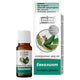 ЕТЕРИКА Масло от евкалипт 10мл етерика