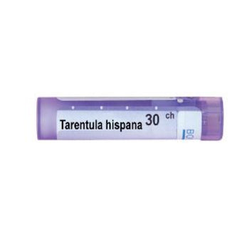 compare product Tarentula hispana 30 ch