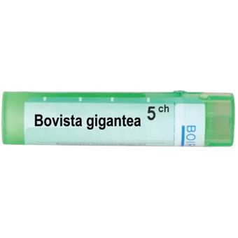 compare product Bovista gigantea 5 ch