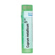 BOIRON Cuprum metallicum 5 ch