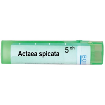 compare product Actaea spicata 5 ch