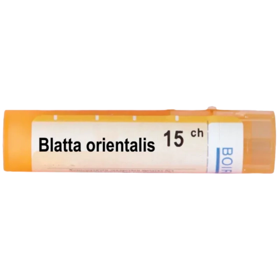 BOIRON Blatta orientalis 15ch