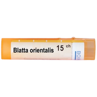 compare product Blatta orientalis 15ch