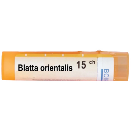 BOIRON Blatta orientalis 15ch