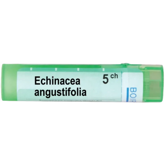 BOIRON Echinacea angustifolia 5 ch
