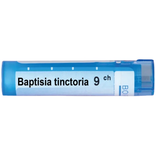 BOIRON Baptisia tinctoria 9 ch