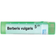 BOIRON Berberis vulgaris 5 ch