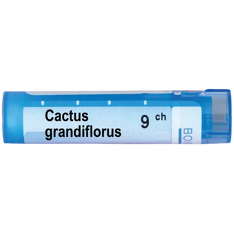 compare product Cactus grandiflorus 9 ch