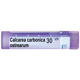BOIRON Calcarea carbonica 30 ch