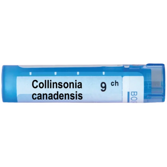 compare product Collinsonia canadensis 9 ch