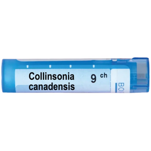 BOIRON Collinsonia canadensis 9 ch