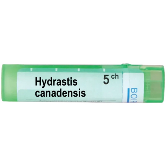 BOIRON Hydrastis canadensis 5 ch