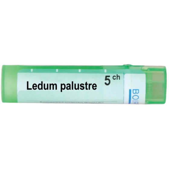 BOIRON Ledum palustre 5 ch