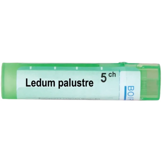 BOIRON Ledum palustre 5 ch