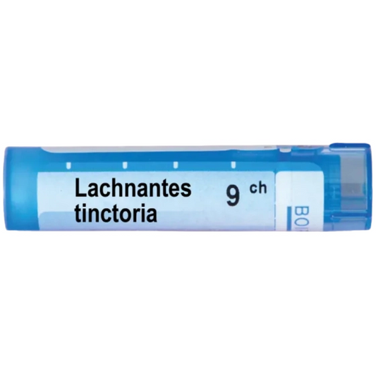 BOIRON Lachnanthes tinctoria 9 ch