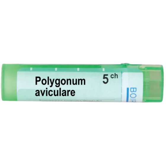 BOIRON Polygonum aviculare 5 ch