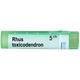 BOIRON Rhus toxicodendron 5 ch