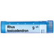 BOIRON Rhus toxicodendron 9 ch