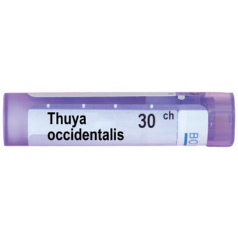 compare product Thuya occidentalis 30 ch