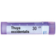 BOIRON Thuya occidentalis 30 ch