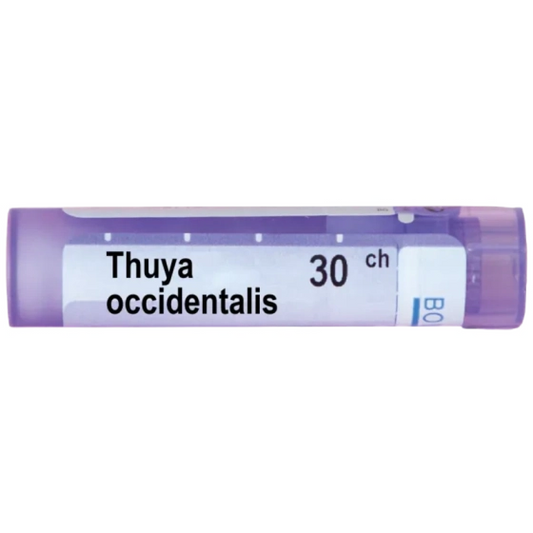 BOIRON Thuya occidentalis 30 ch