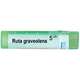 BOIRON Ruta graveolens 5 ch