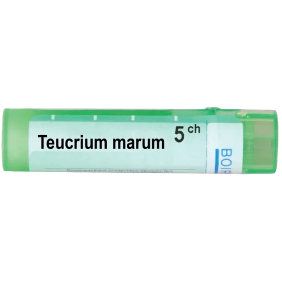 BOIRON Teucrium marum 5 ch