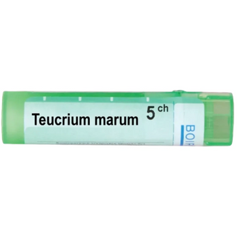 compare product Teucrium marum 5 ch