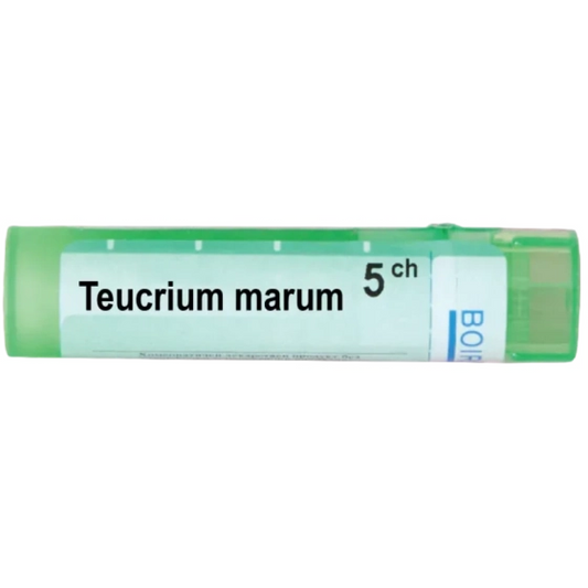BOIRON Teucrium marum 5 ch