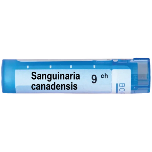 BOIRON Sanguinaria canadensis 9 ch