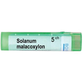 compare product Solanum malacooxylon 5 ch