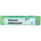 BOIRON Solanum malacooxylon 5 ch