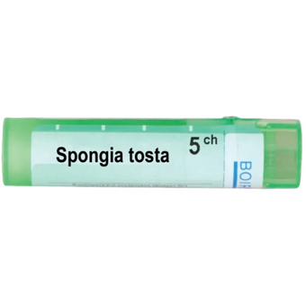 compare product Spongia tosta 5 ch