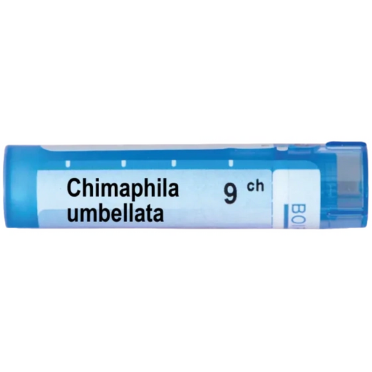 BOIRON Chimaphila umbellata 9 ch