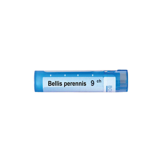 BOIRON Bellis perennis 9 ch