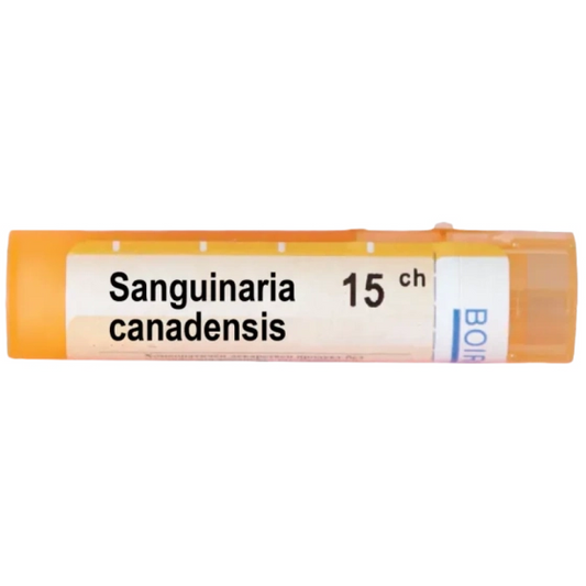 BOIRON Sanguinaria canadensis 15 ch