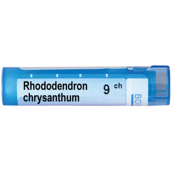 compare product Rhododendron chrysanthum 9ch