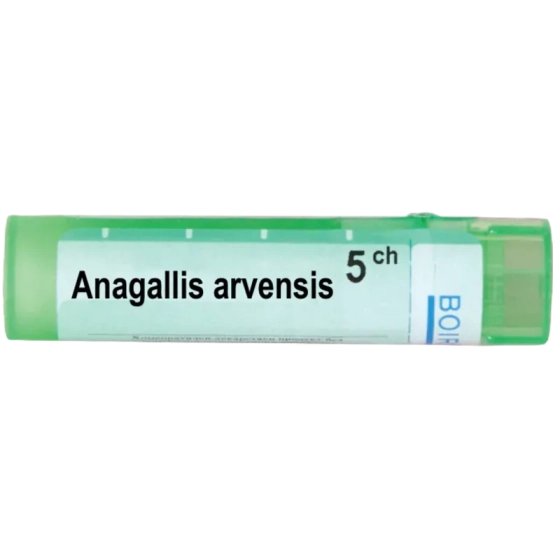 BOIRON Anagallis arvensis 5 ch